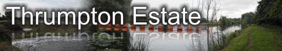 Winthorpe Lake and River Trent