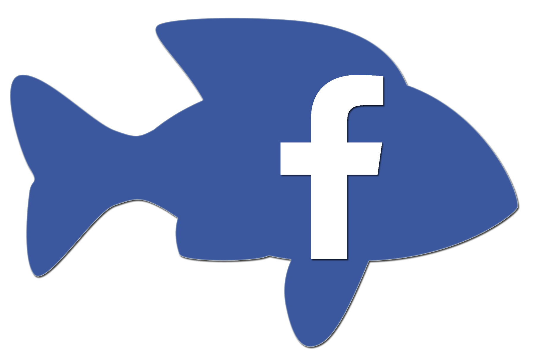Facebook Page